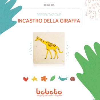 Nessuna immagine impostata 